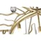 Cwi Lighting Anita 12 Light Chandelier With Gold Leaf Finish 1094P43-12-620 - alternate 5